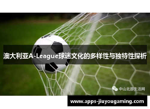 澳大利亚A-League球迷文化的多样性与独特性探析