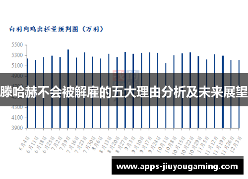 滕哈赫不会被解雇的五大理由分析及未来展望
