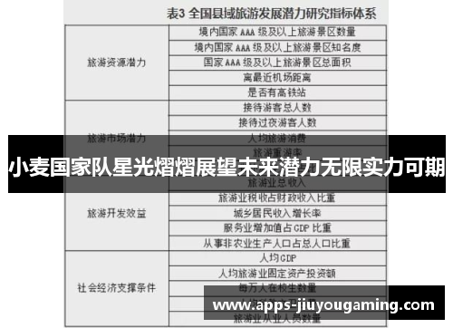 小麦国家队星光熠熠展望未来潜力无限实力可期