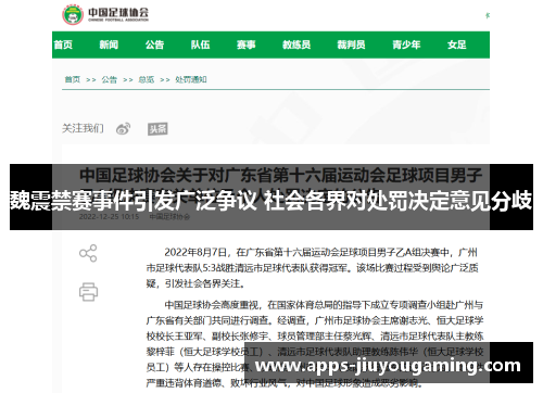 魏震禁赛事件引发广泛争议 社会各界对处罚决定意见分歧