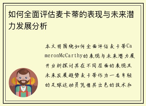如何全面评估麦卡蒂的表现与未来潜力发展分析