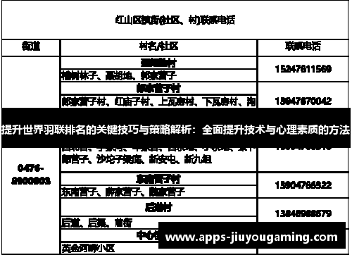提升世界羽联排名的关键技巧与策略解析：全面提升技术与心理素质的方法