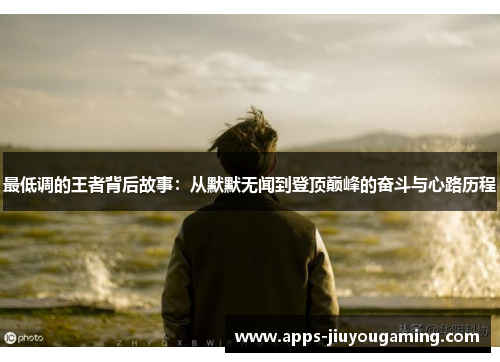 最低调的王者背后故事：从默默无闻到登顶巅峰的奋斗与心路历程