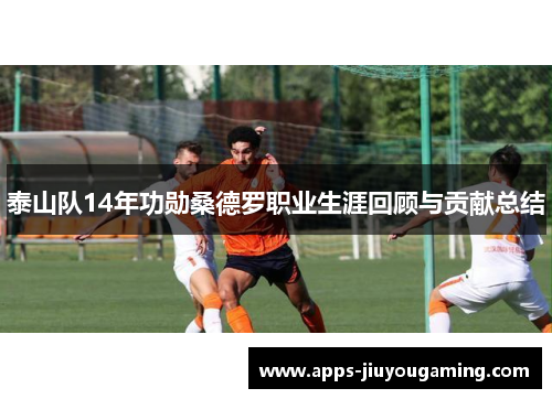 泰山队14年功勋桑德罗职业生涯回顾与贡献总结
