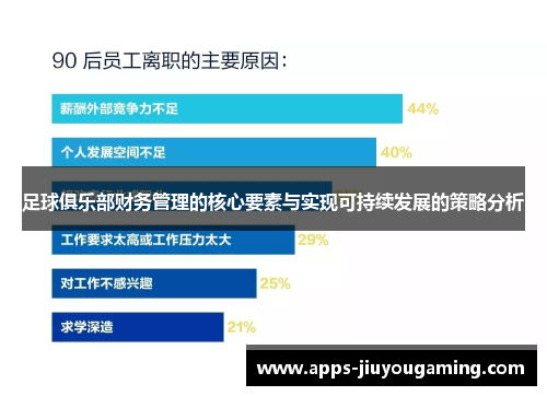 足球俱乐部财务管理的核心要素与实现可持续发展的策略分析 足球俱乐部财务管理的核心要素与实现可持续发展的策略分析