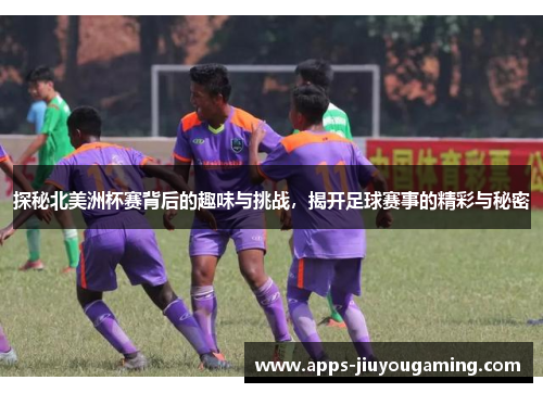 探秘北美洲杯赛背后的趣味与挑战，揭开足球赛事的精彩与秘密